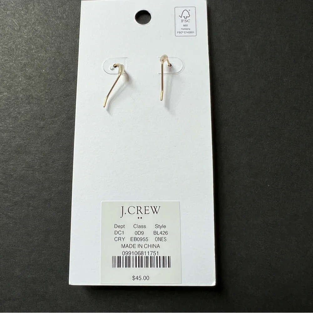 J. Crew Factory Crystal Dabgly Statement Earrings NWT